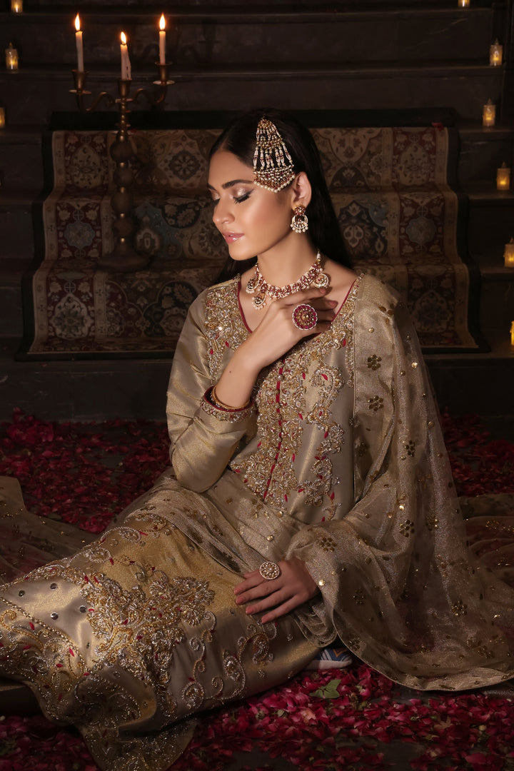 Step into elegance with Palwasha, a long shirt crafted from lamba shimmer tissue adorned with intricate zardozi handwork. Complete with a pure tissue .