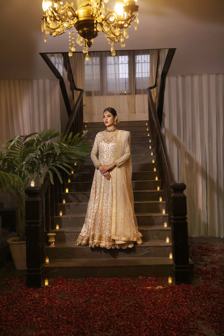  Dive into the beauty of the PALWASHA collection, showcasing intricate designs and luxurious fabrics for every occasion.