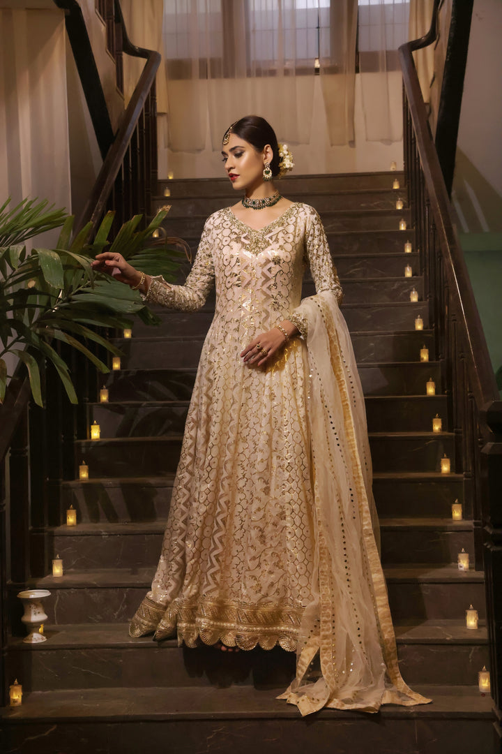  Dive into the beauty of the PALWASHA collection, showcasing intricate designs and luxurious fabrics for every occasion.