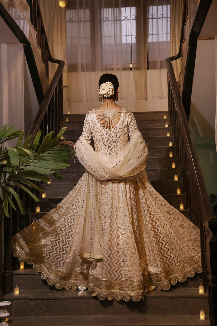  Dive into the beauty of the PALWASHA collection, showcasing intricate designs and luxurious fabrics for every occasion.