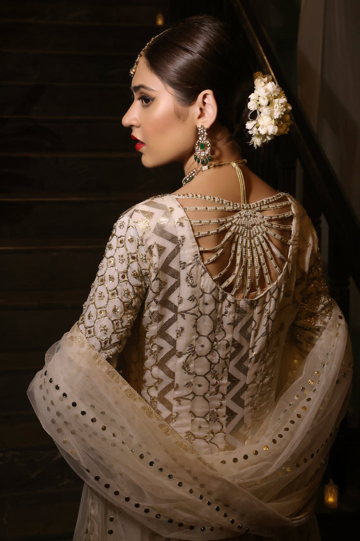  Dive into the beauty of the PALWASHA collection, showcasing intricate designs and luxurious fabrics for every occasion.