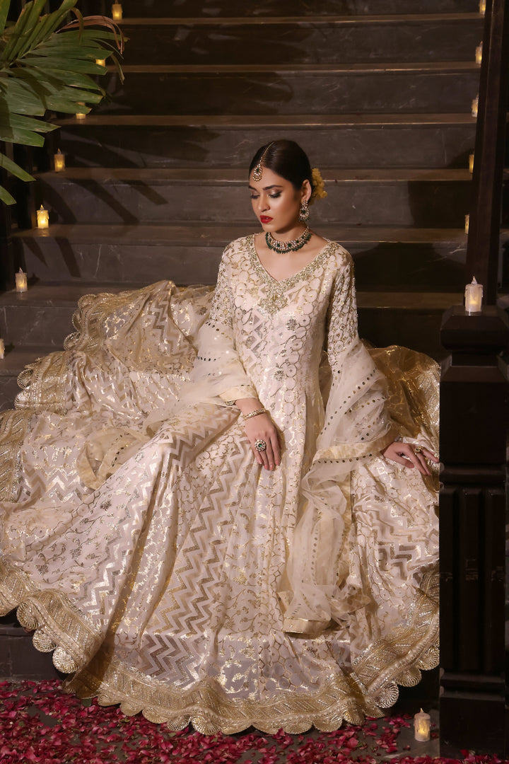  Dive into the beauty of the PALWASHA collection, showcasing intricate designs and luxurious fabrics for every occasion.