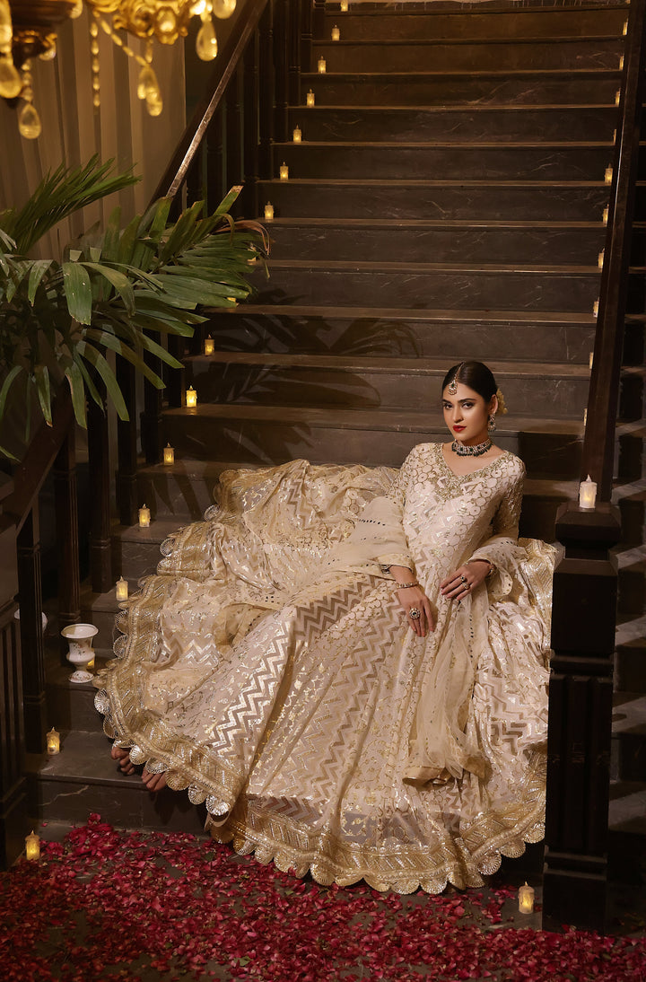  Dive into the beauty of the PALWASHA collection, showcasing intricate designs and luxurious fabrics for every occasion.