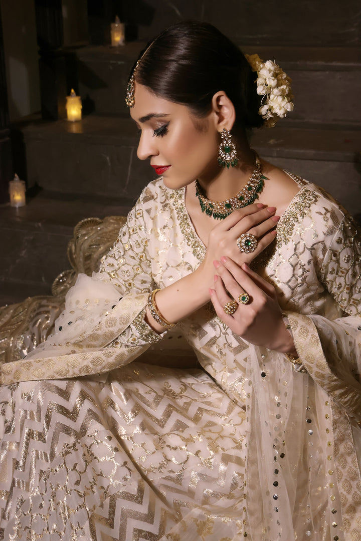  Dive into the beauty of the PALWASHA collection, showcasing intricate designs and luxurious fabrics for every occasion.