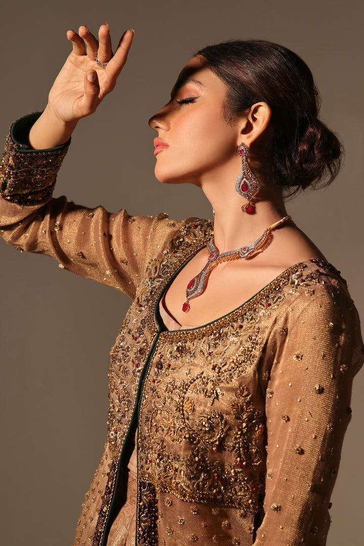 Discover ELLA by MONA IMRAN—pure shimmer khaddi net with velvet zardozi borders, handmade zardori work. Elevate your style with regal sophistication.