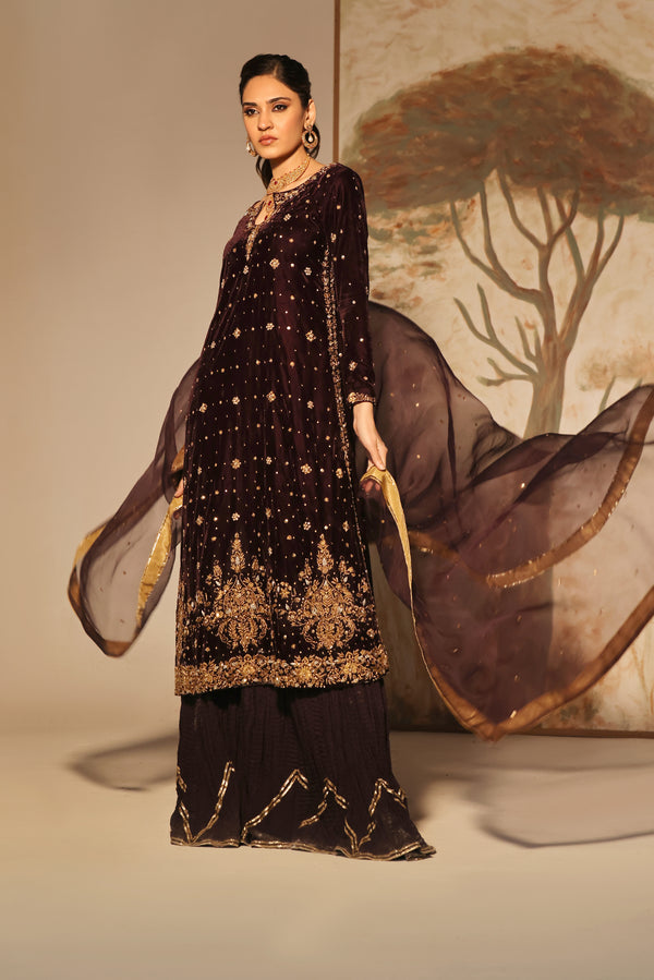  Indulge in luxurious sophistication with Mushk, crafted from French velvet adorned with marori and zardozi work. Complete with crush dhaka pants and a pure organza dupatta.