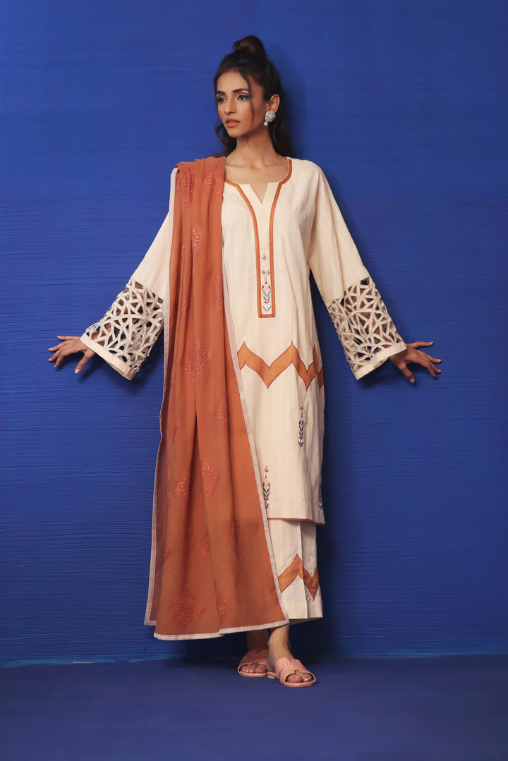  Explore Mona Imran's Naya Collection: The perfect summer fashion with embossed lawn, cotton net, applique work, and resham embroidery.