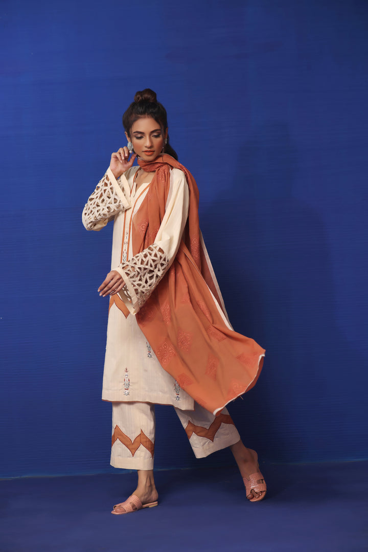  Explore Mona Imran's Naya Collection: The perfect summer fashion with embossed lawn, cotton net, applique work, and resham embroidery.